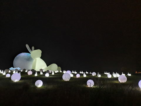 无锡拈花湾中秋望月兔