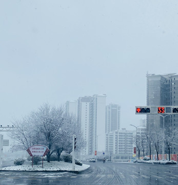 新蒲雪景