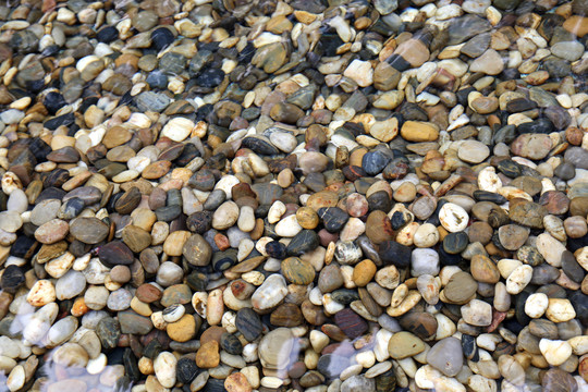 鹅卵石岩石