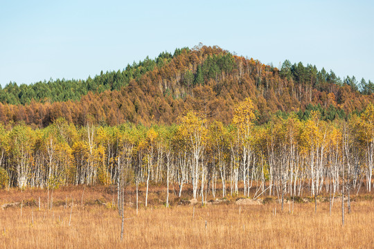 秋季多彩山林