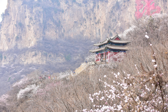 十里桃花天桂山