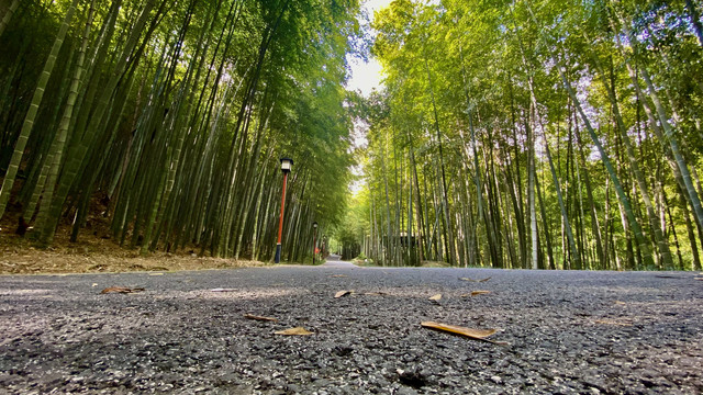 穹窿山登山路