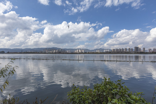 昆明滇池湖畔城市风光