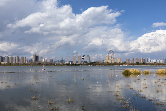 昆明滇池湖畔城市风光