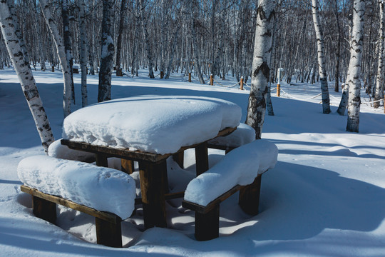 冬季木桌木凳积雪森林