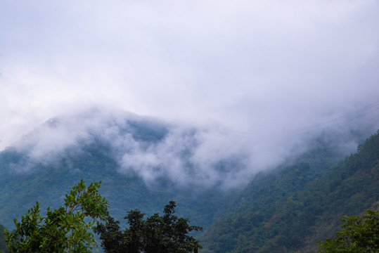 云雾群山