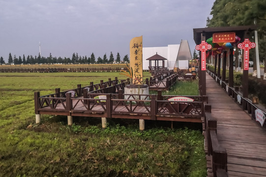 东林渡