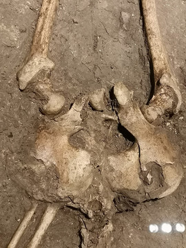 新石器时代马家浜人骸骨