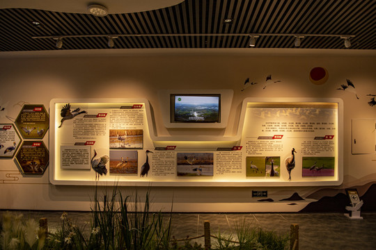 扎龙湿地博物馆