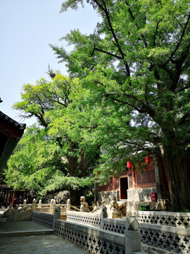 山西古建筑晋祠