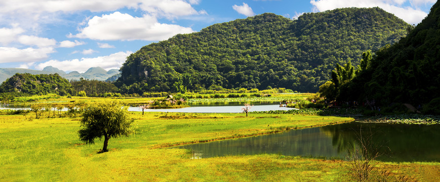 田园山水