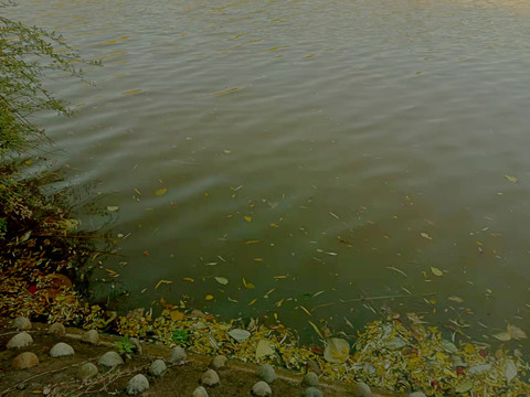 河污水