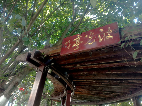 亭光波