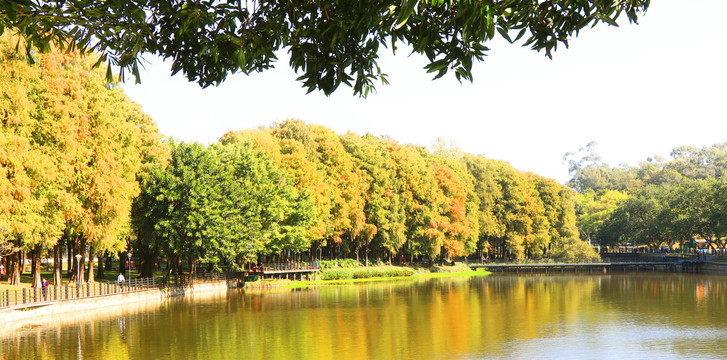 秋季湖景