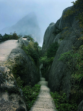 冗长山路树林风景图片