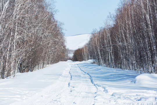 森林积雪道路