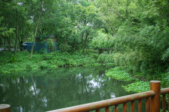 杭州西溪湿地