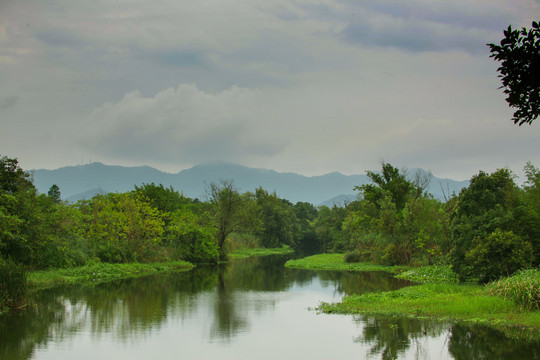 杭州西溪湿地