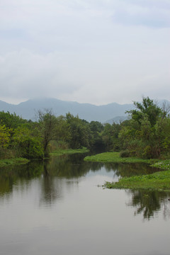 杭州西溪湿地