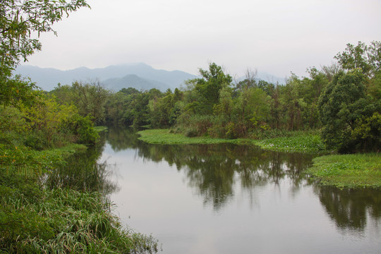 杭州西溪湿地