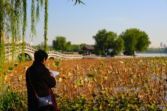 大明湖公园写生