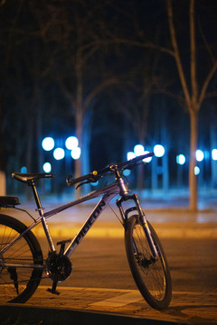 小树林边灯光下的自行车