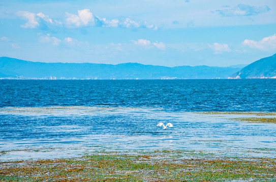 洱海风光