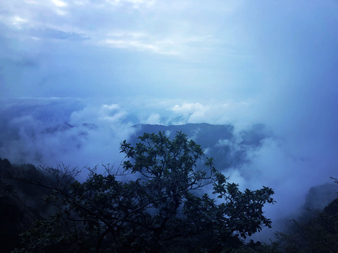 云雾缭绕下山林风景图片