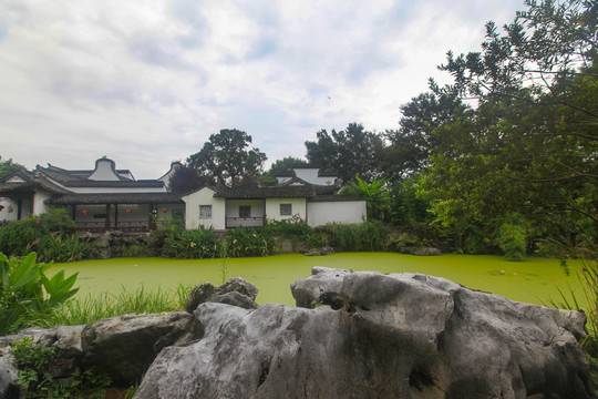 杭州西溪湿地