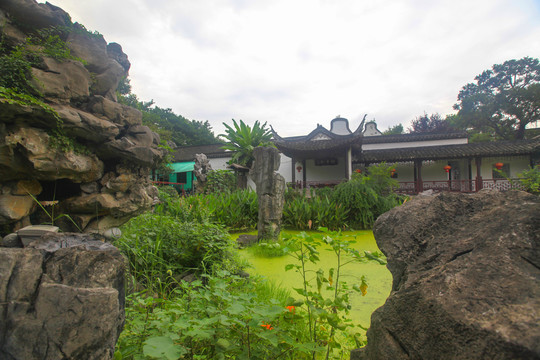 杭州西溪湿地