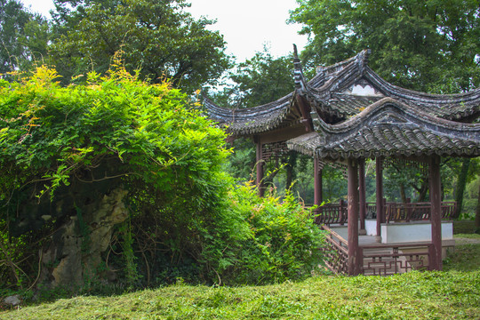 杭州西溪湿地