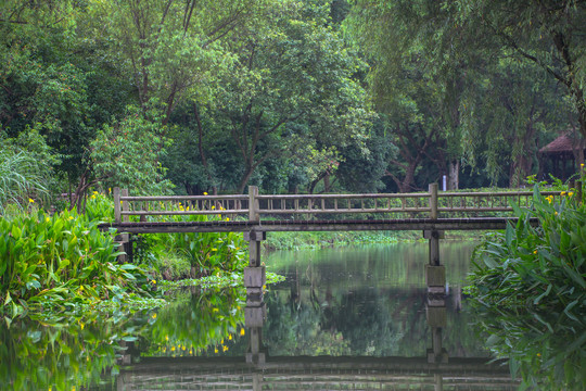 杭州西溪湿地