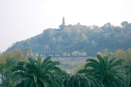 绵阳南山寺