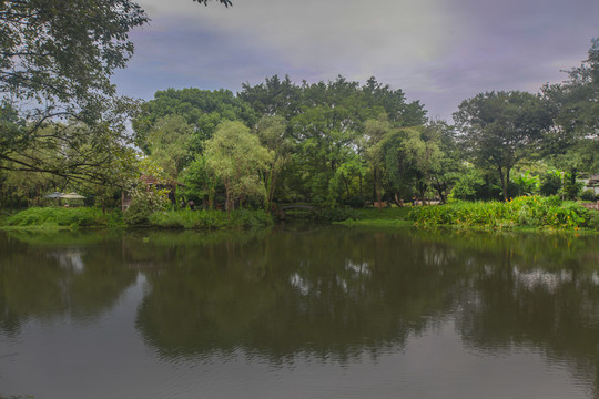 杭州西溪湿地