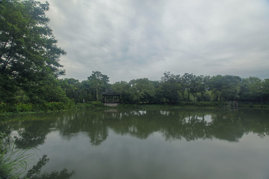 杭州西溪湿地