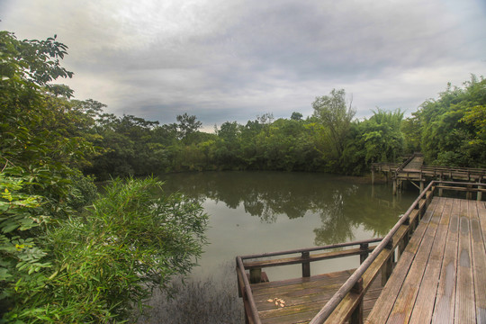 杭州西溪湿地