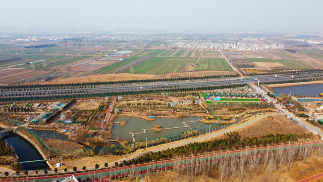 伊河湿地游园
