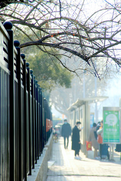 冬季城市街景