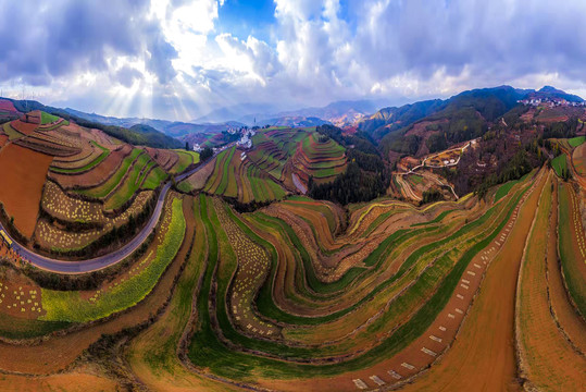 东川红土地