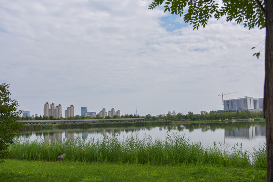 天津西青水西公园生态建筑风光