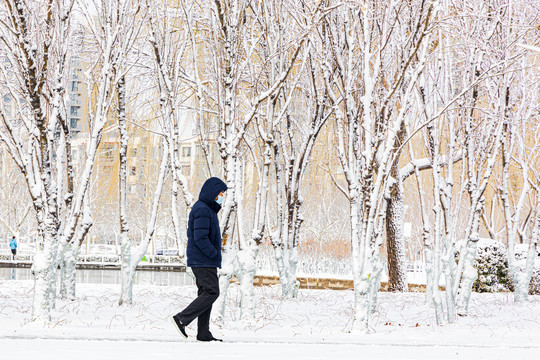 公园雪景