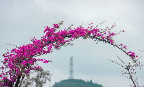 兴义市街景