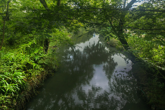 杭州西溪湿地