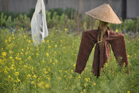 稻草人