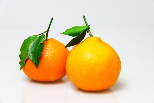 酸甜可口的果冻橙