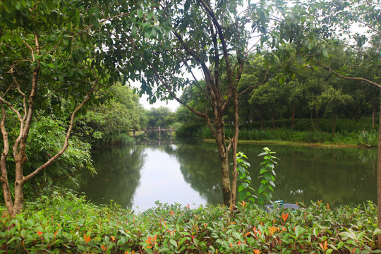 杭州西溪湿地