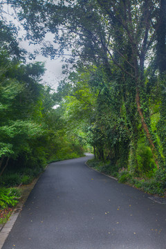 公路油渣路