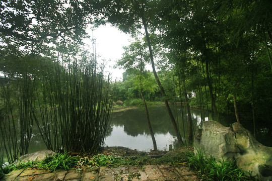 杭州西溪湿地
