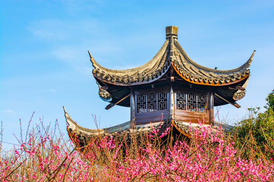 梅花古亭