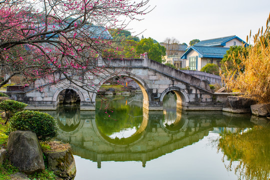 超山公园